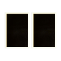 Black Laser Color Paper (2pcs)